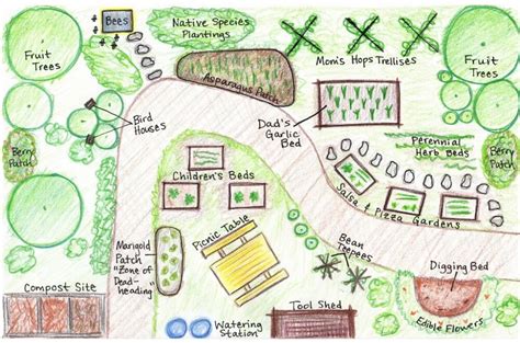 Drawing the Garden Plan .